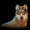 buffalo wild wolf symbol