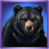 buffalos sun 3 grizzly symbol
