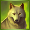 buffalos sun 3 wolf symbol