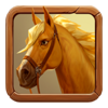 bullets for the bonus horse symbol