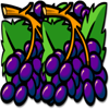 bully 4u grapes symbol