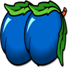 bully 4u plum symbol