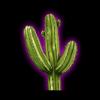 burning chilli cactus symbol