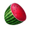 burning classics 5000 watermelon symbol