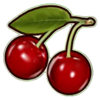 burning flower cherries symbol