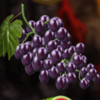 burning skull grape symbol