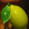 burning skull lemon symbol