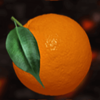 burning skull orange symbol