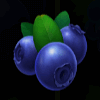 burning slots 100 blueberries symbol