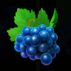 burning slots 100 grapes symbol