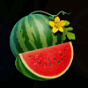 burning slots 100 watermelon symbol