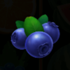 burning slots 40 powerpoints blueberry symbol