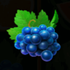 burning slots 40 powerpoints grape symbol