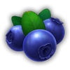 burning slots cash mesh blueberry symbol