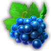 burning slots cash mesh grapes symbol