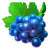burning slots cash mesh link blue grapes symbol