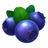 burning slots cash mesh link blueberries symbol