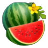 burning slots cash mesh link watermelon symbol
