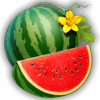 burning slots cash mesh watermelon symbol