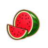 burning wins 100 classic series watermelon symbol