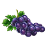 bursting crowns 5 grape symbol
