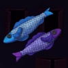 buttoms world fish symbol