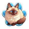 cafe meow blue cat symbol