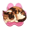 cafe meow pink cat symbol
