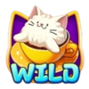 cafe meow wild symbol