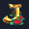 caifu laile j symbol