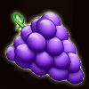 candy and fruits grapes symbol