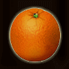 candy and fruits orange symbol
