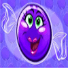 candy bars purple candy symbol