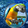 caribbean adventur macau symbol