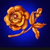 casanova rose symbol