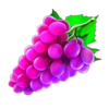 cash amplifier 243 grape symbol