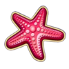 cash and crab bonus hunt sea star symbol