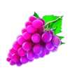 cash n fruits 100 grapes symbol