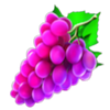 cash n fruits 100 hold and win grapes symbol