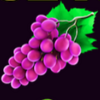 cash n fruits 243 grape symbol