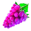 cash n fruits hold and win grapes symbol