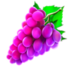 cash n spins 27 plus grape symbol