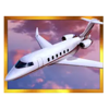 cash pig 2 15000 private jet symbol