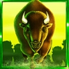 cash stampede bull symbol