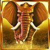cash stampede elephant symbol