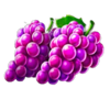cash volcano xxl hold and win 3x5 grapes symbol