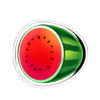 cashin reels watermelon symbol