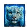 cat ching artic lion symbol1