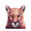 cat ching cougar symbol