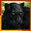 cats royal panther symbol
